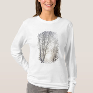 Snowy日の白い木 Tシャツ