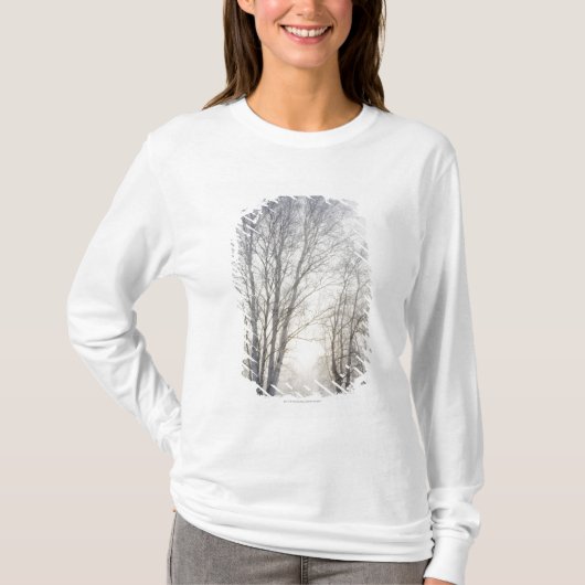 Snowy日の白い木 Tシャツ (正面)