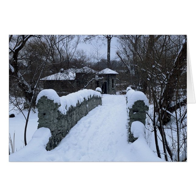 Snowy橋 (正面横)