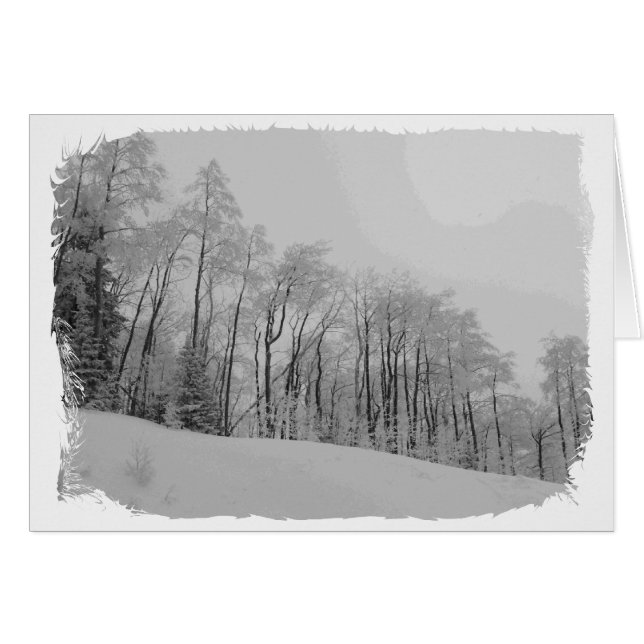 Snowy白の先端 (正面横)