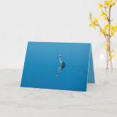 Snowy白鷺の挨拶状 カード (黄色い花)