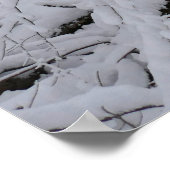 Snowy Birch Tree Canopy ポスター (角)