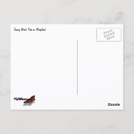 Snowy Birch Tree Canopy ポストカード (裏面)