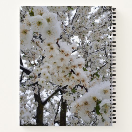 Snowy Blossom Spiral Notebook ノートブック (裏面)