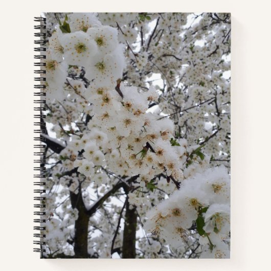 Snowy Blossom Spiral Notebook ノートブック (正面)