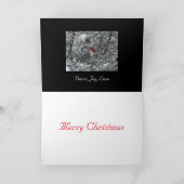 Snowy Cardinal Christmas Card シーズンカード (内部)