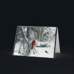 Snowy Cardinal Christmas Card シーズンカード<br><div class="desc">An elegant Christmas card featuring a photograph of a cardinal perched in a pine tree on a snowy winter day. Inside top features another photo of a cardinal, this time amid icy branches. Top reads, "Peace, Joy, Love, " while inside bottom reads "Merry Christmas."</div>