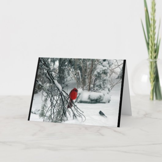 Snowy Cardinal Christmas Card シーズンカード (正面)