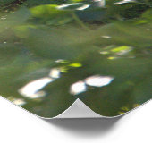 Snowy Egretフォトポスター ポスター (角)