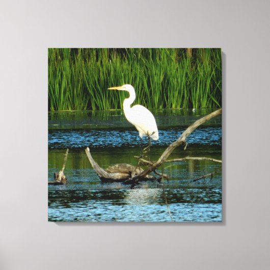 Snowy Egret on Log Canvas Print キャンバスプリント (正面)