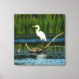 Snowy Egret on Log Canvas Print キャンバスプリント