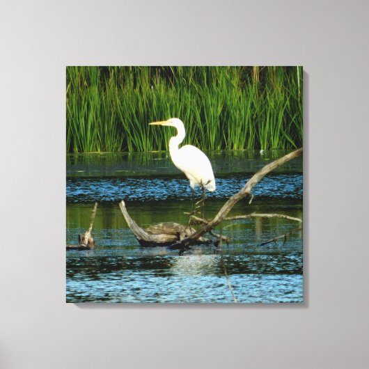 Snowy Egret on Log Canvas Print キャンバスプリント (正面)