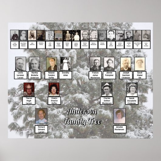 Snowy Evergreen 4 Generation Family Tree Poster ポスター (正面)