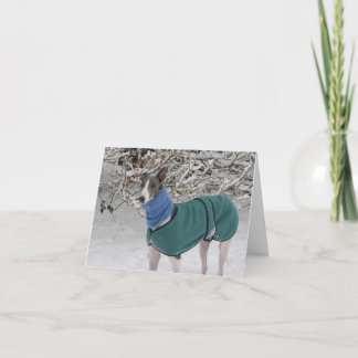 Snowy Girl: Greyhound Christmas Card シーズンカード