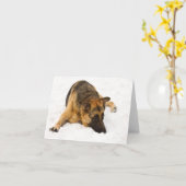 Snowy GSD -カード カード (黄色い花)