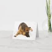 Snowy GSD -カード カード (正面)