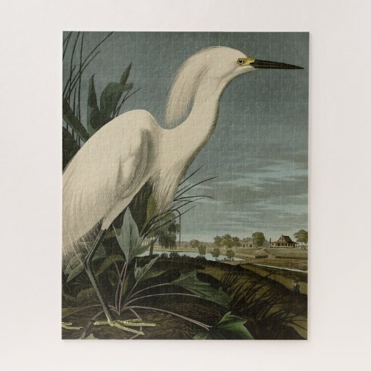 Snowy Heron (Egret) – アメリカのオードボンの鳥 ジグソーパズル (縦)