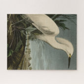 Snowy Heron (Egret) – アメリカのオードボンの鳥 ジグソーパズル (横)