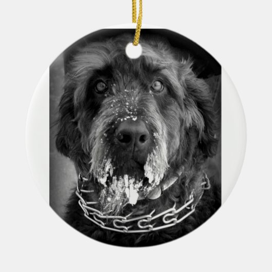 Snowy Labradoodle セラミックオーナメント (正面)