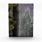 Snowy Mist in the Forest フォトブロック (正面)