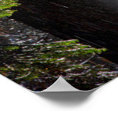 Snowy Mist in the Forest ポスター (角)