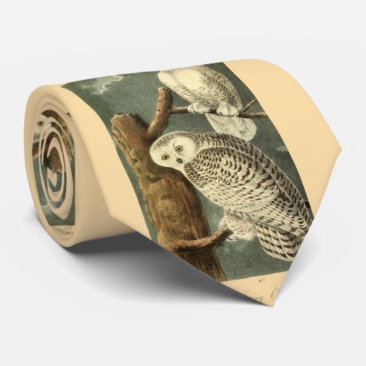 Snowy Owl Audubon Bird Artwork ネクタイ (ロール)