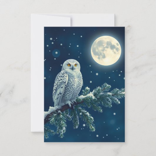 Snowy Owl fun Christmas card (正面)