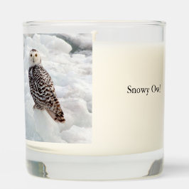 Snowy Owl glass candle