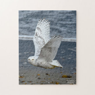 Snowy Owl on a beach  ジグソーパズル