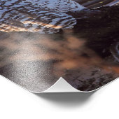 Snowy Owls写真 フォトプリント (角)