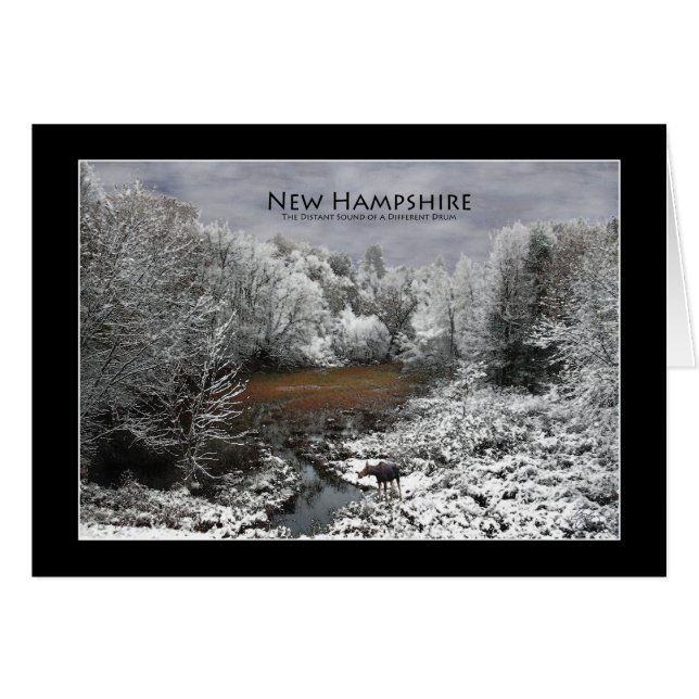 Snowy Oxbowニューハンプシャーカードの単独アメリカヘラジカ (正面横)