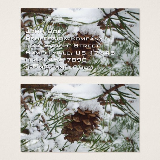 Snowy Pine Cone I冬自然撮影 (正面&裏面)