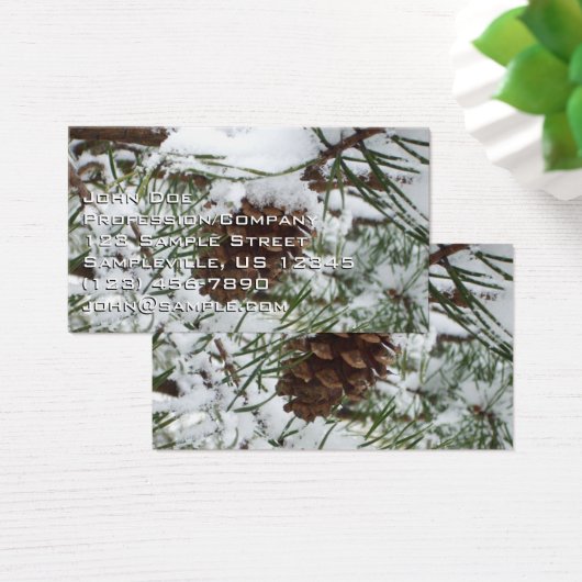 Snowy Pine Cone I冬自然撮影 (デスク)