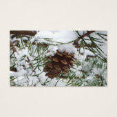 Snowy Pine Cone I冬自然撮影 (裏面)