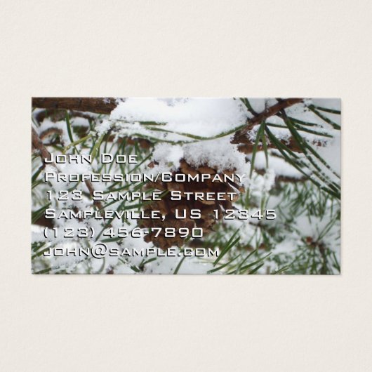 Snowy Pine Cone I冬自然撮影 (正面)