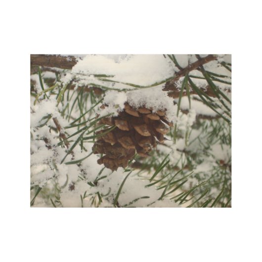 Snowy Pine Cone I冬自然撮影 ウッドポスター (正面)
