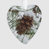Snowy Pine Cone I冬自然撮影 オーナメント (正面)