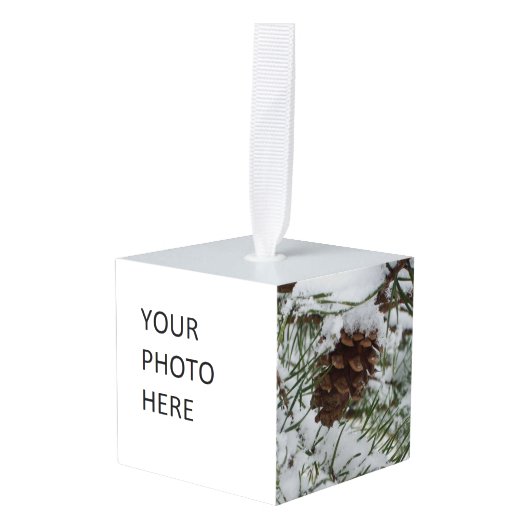 Snowy Pine Cone I冬自然撮影 キューブオーナメント (正面アングル)