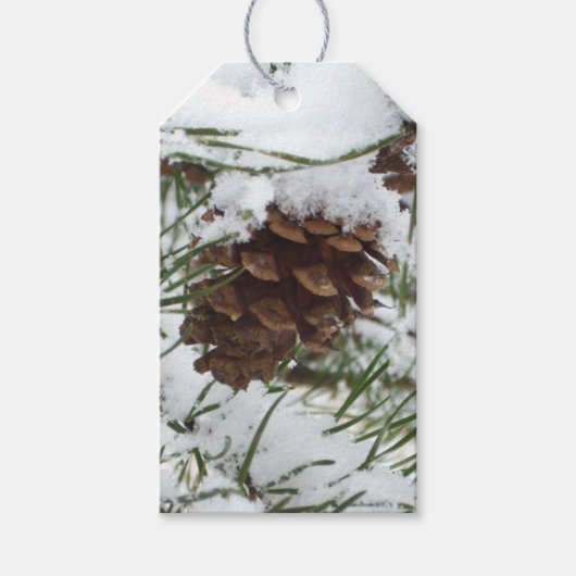 Snowy Pine Cone I冬自然撮影 ギフトタグ (正面)