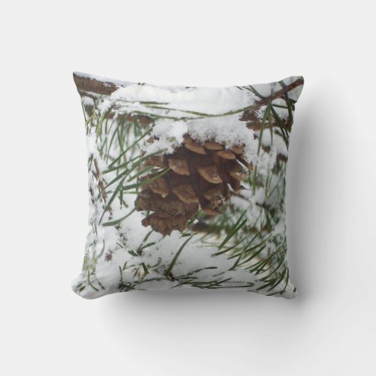 Snowy Pine Cone I冬自然撮影 クッション (正面)
