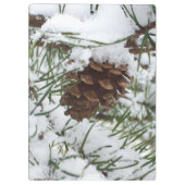 Snowy Pine Cone I冬自然撮影 クリップボード (裏面)