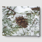 Snowy Pine Cone I冬自然撮影 ゲストブック (裏面)