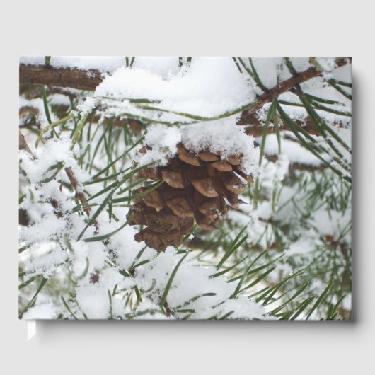 Snowy Pine Cone I冬自然撮影 ゲストブック (正面)