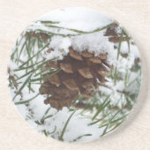 Snowy Pine Cone I冬自然撮影 コースター (正面)