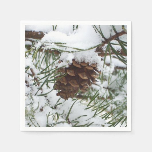 Snowy Pine Cone I冬自然撮影 スタンダードカクテルナプキン (正面)