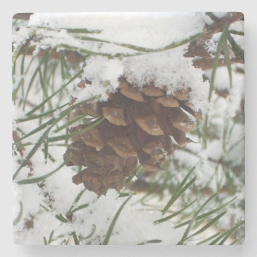 Snowy Pine Cone I冬自然撮影 ストーンコースター (正面)