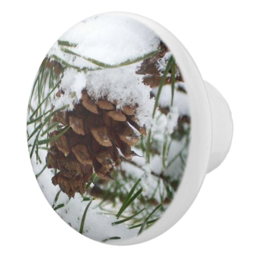 Snowy Pine Cone I冬自然撮影 セラミックノブ (右)