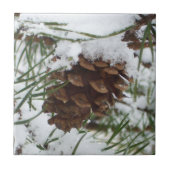Snowy Pine Cone I冬自然撮影 タイル (正面)