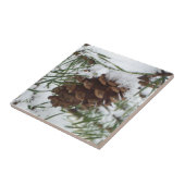 Snowy Pine Cone I冬自然撮影 タイル (側面)