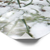 Snowy Pine Cone I冬自然撮影 フォトプリント (角)